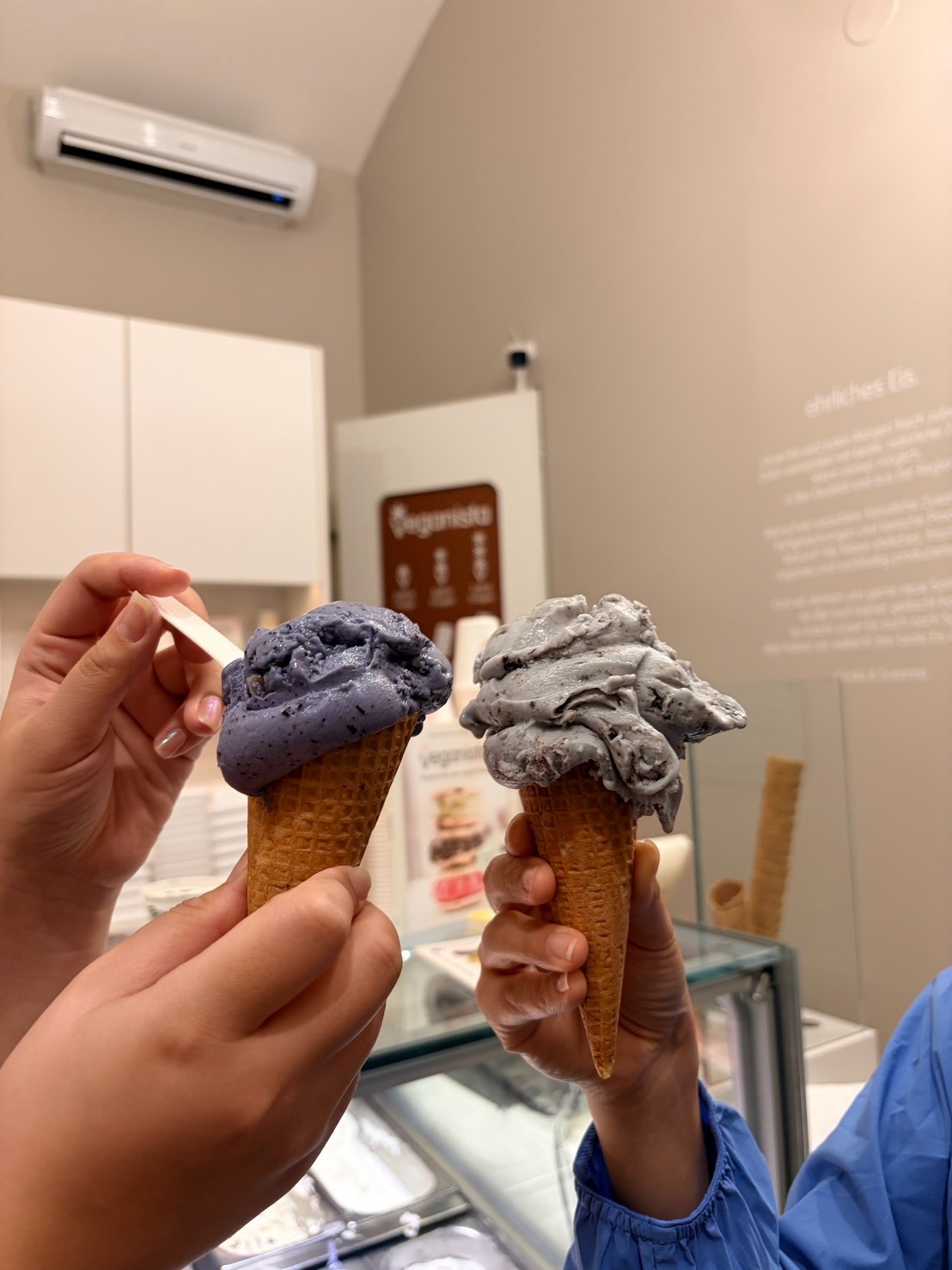 Veganista Ice Cream: food & drinks