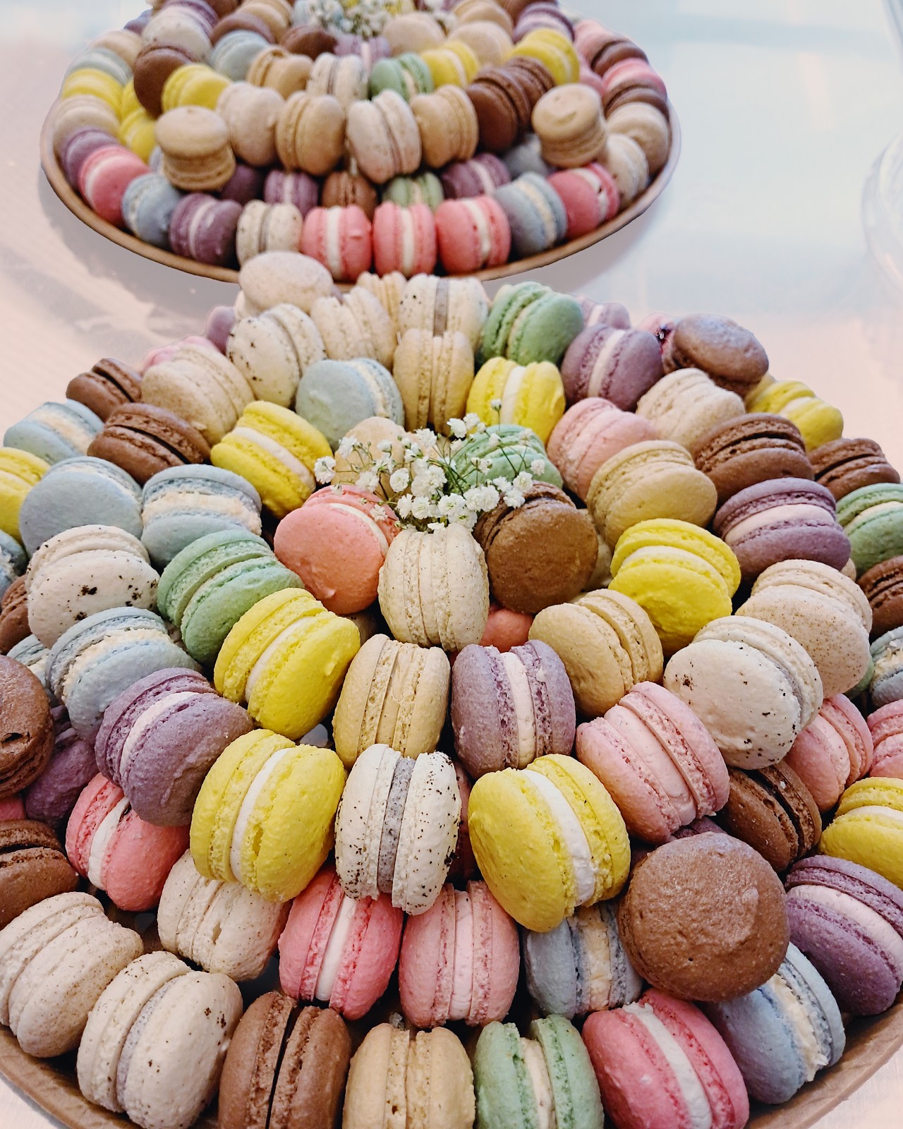 Denver Macaron: food & drinks