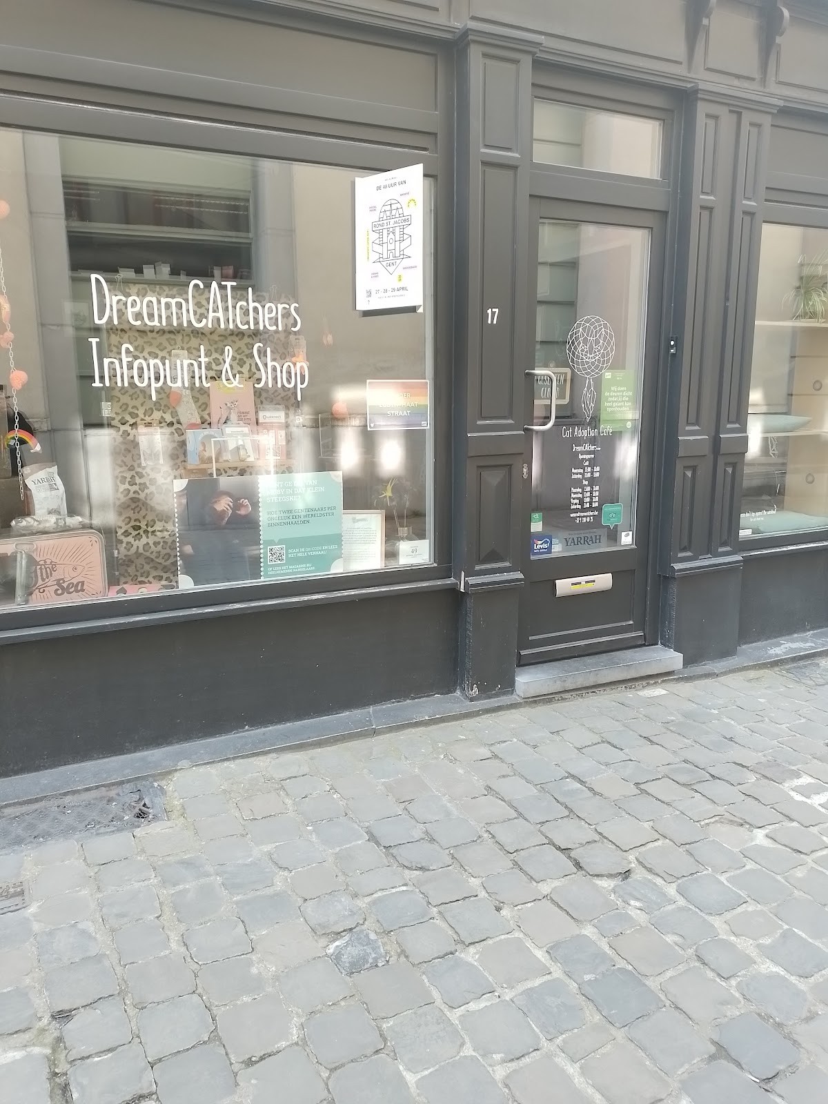 DreamCATchers - Cat adoption and information point: the place