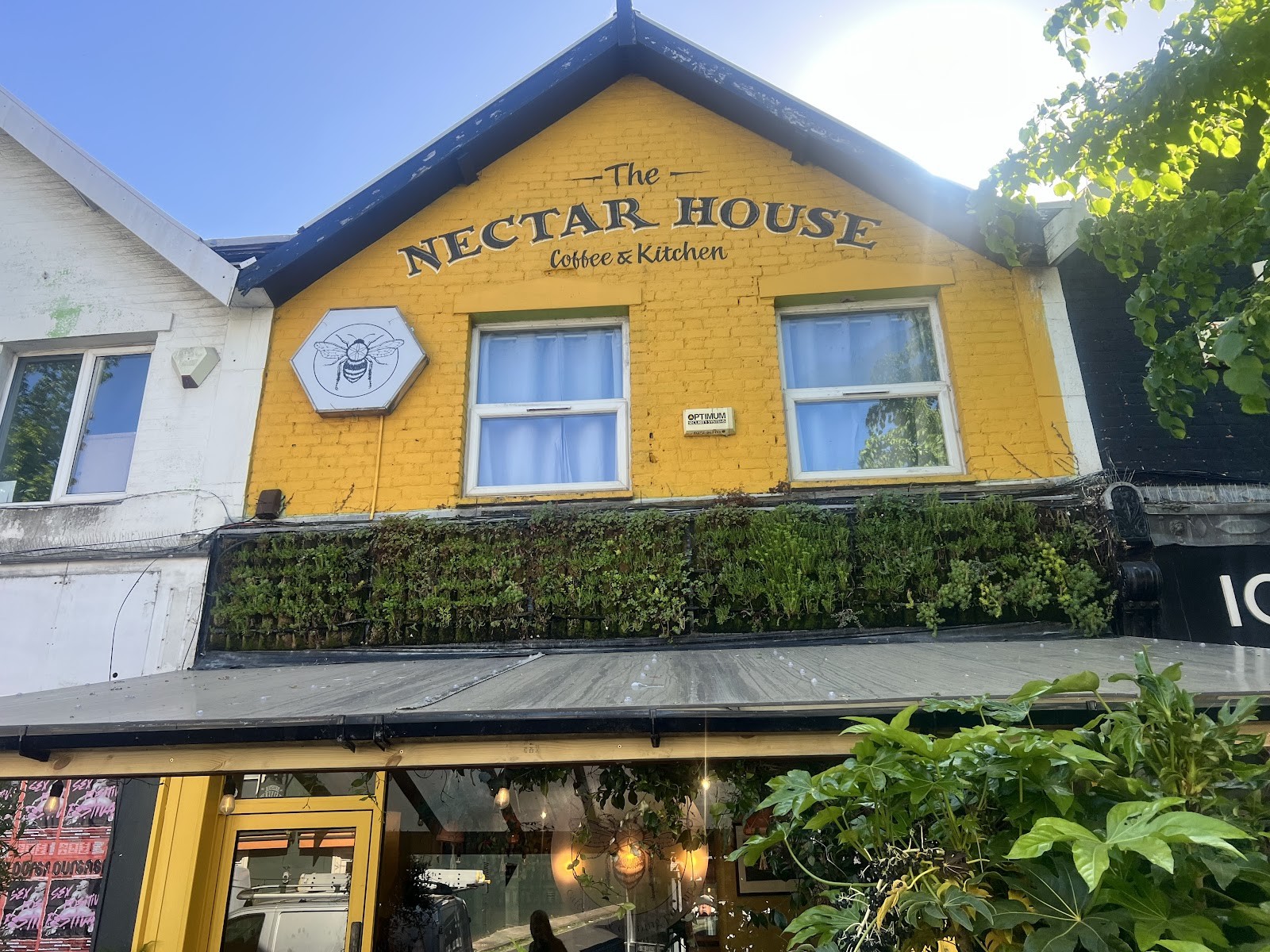 The Nectar House: the place