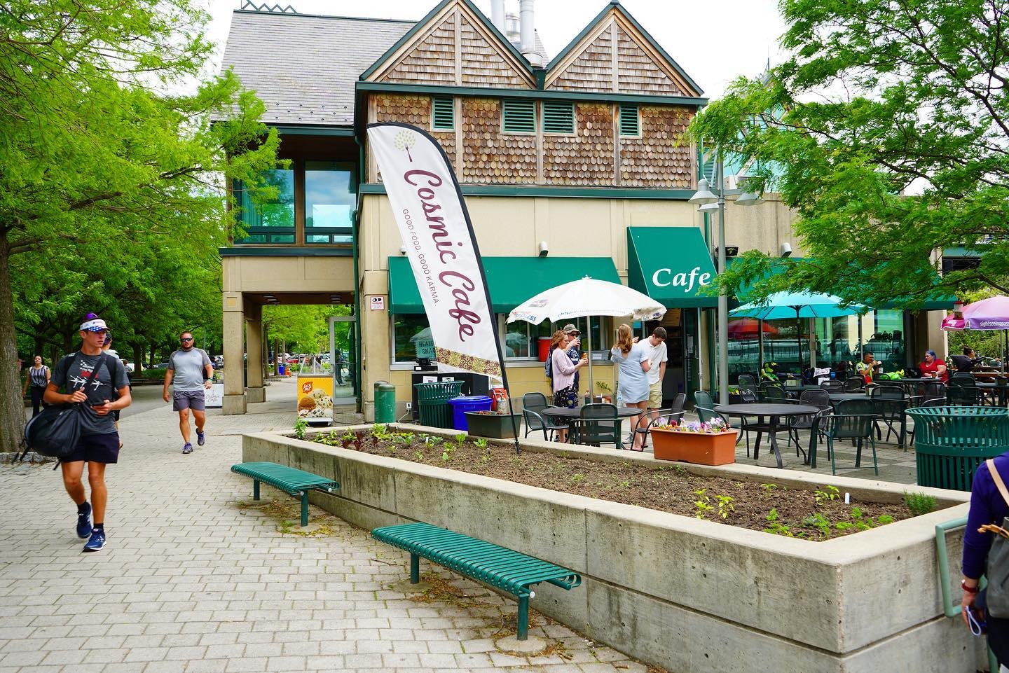 Cosmic Café and Ciderhouse: the place