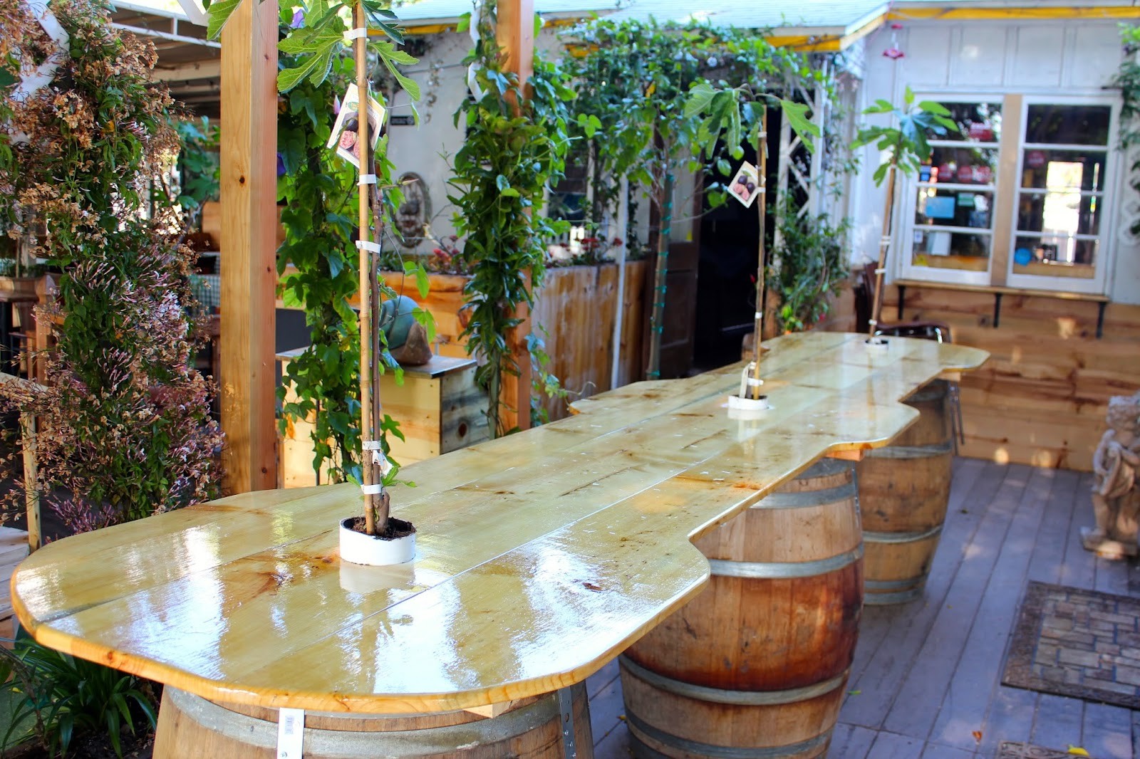 Fig Tree Cafe: the place