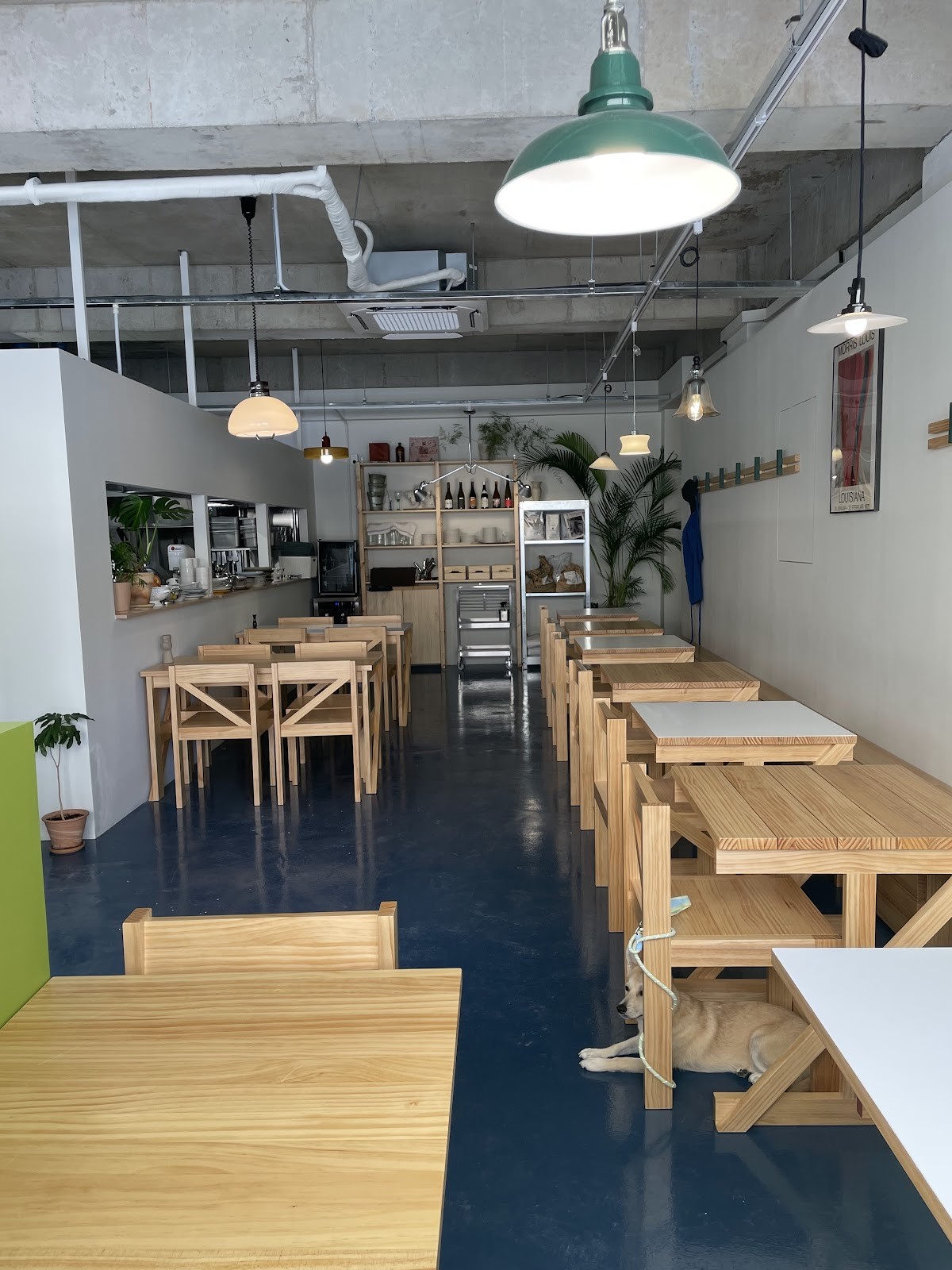 URT 유알티: the place