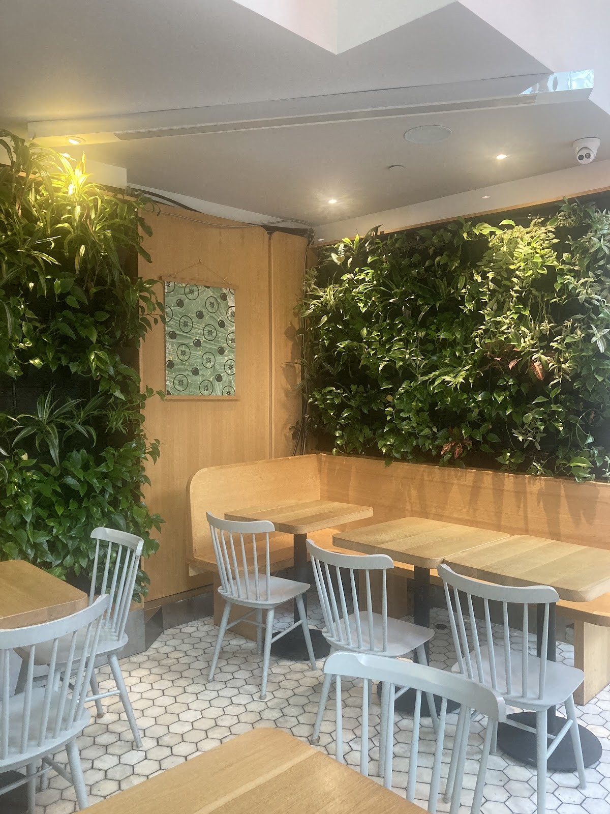 Kupfert & Kim: the place