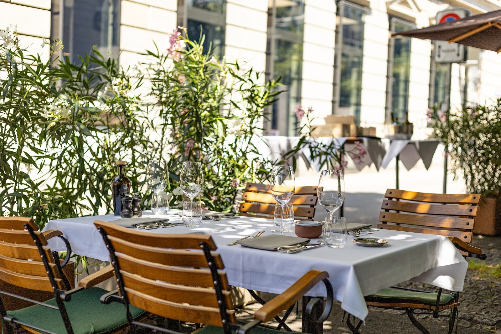Ornellaia: the place