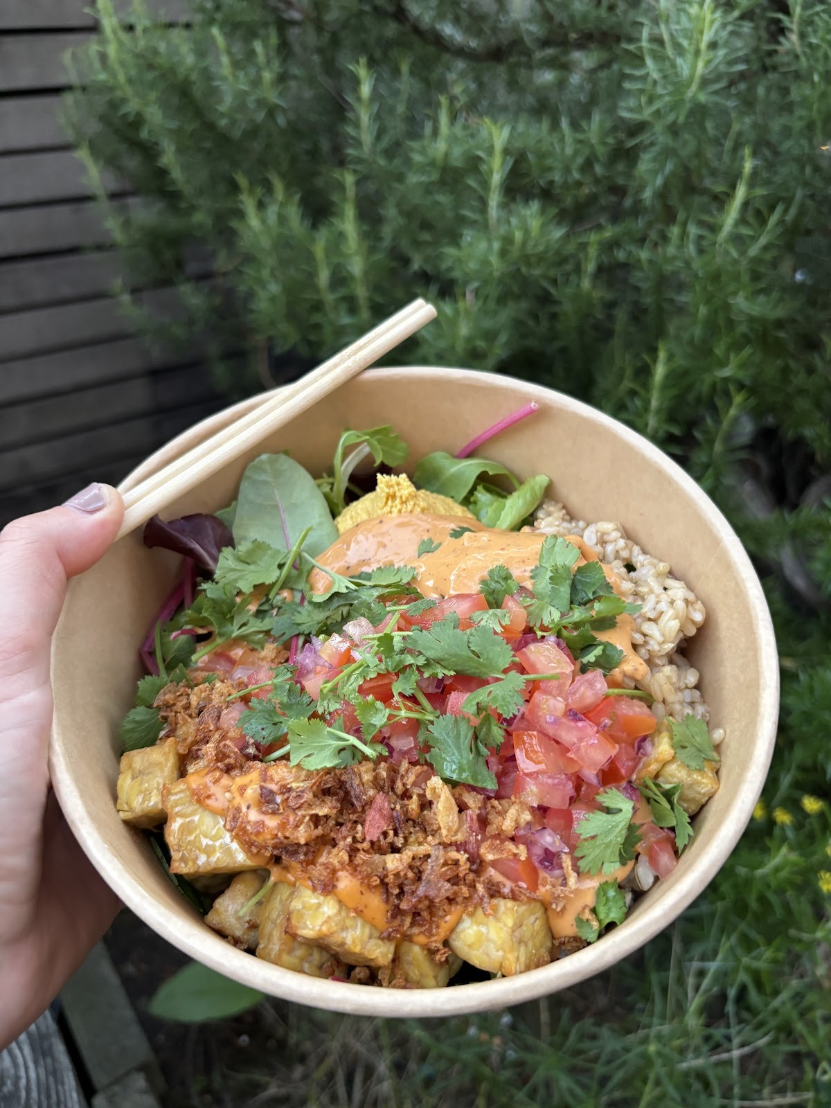 Nami Vegan Sushi: food & drinks