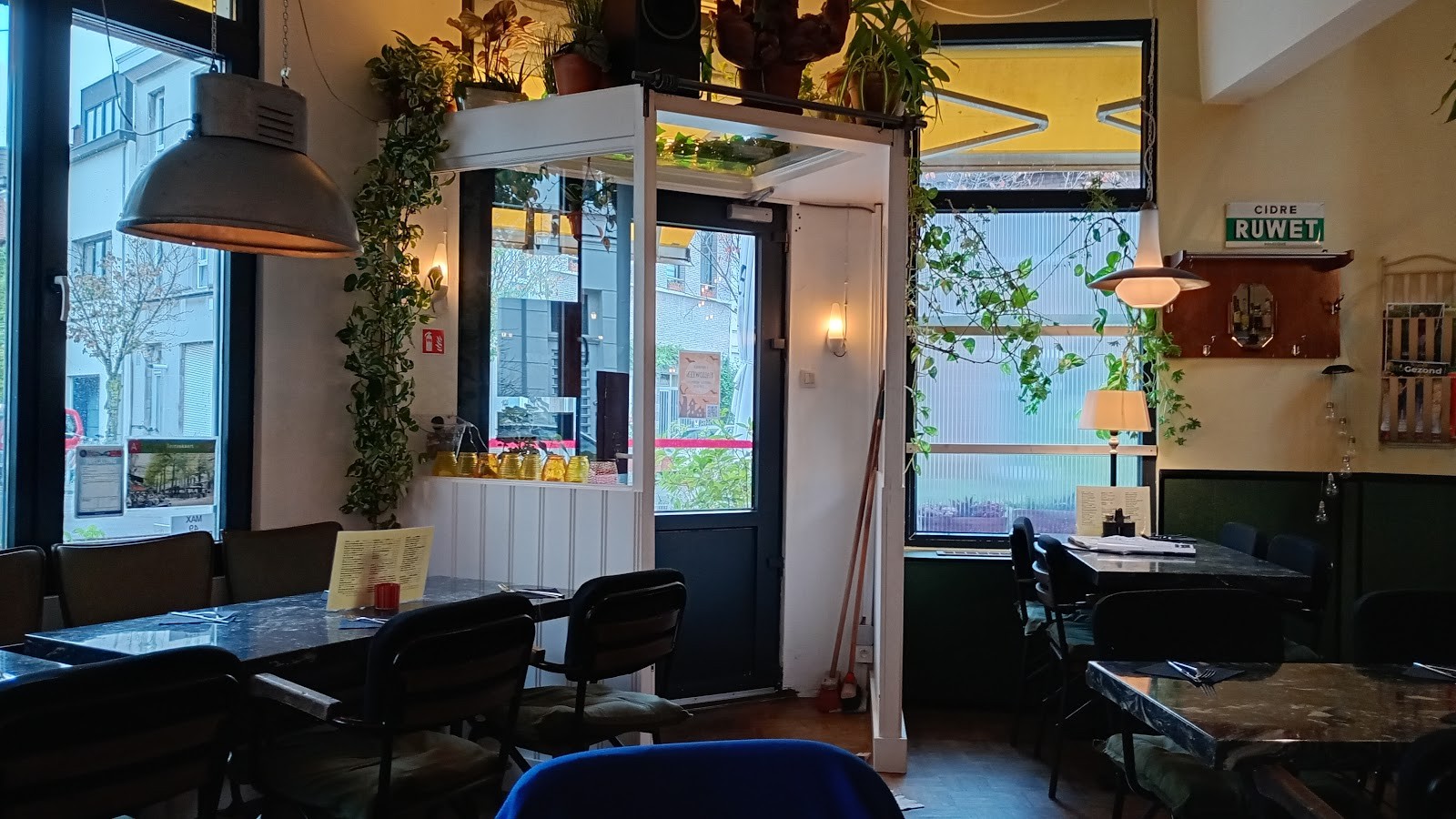 Vitis: the place