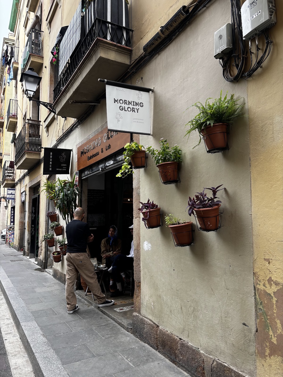 Morning Glory: the place