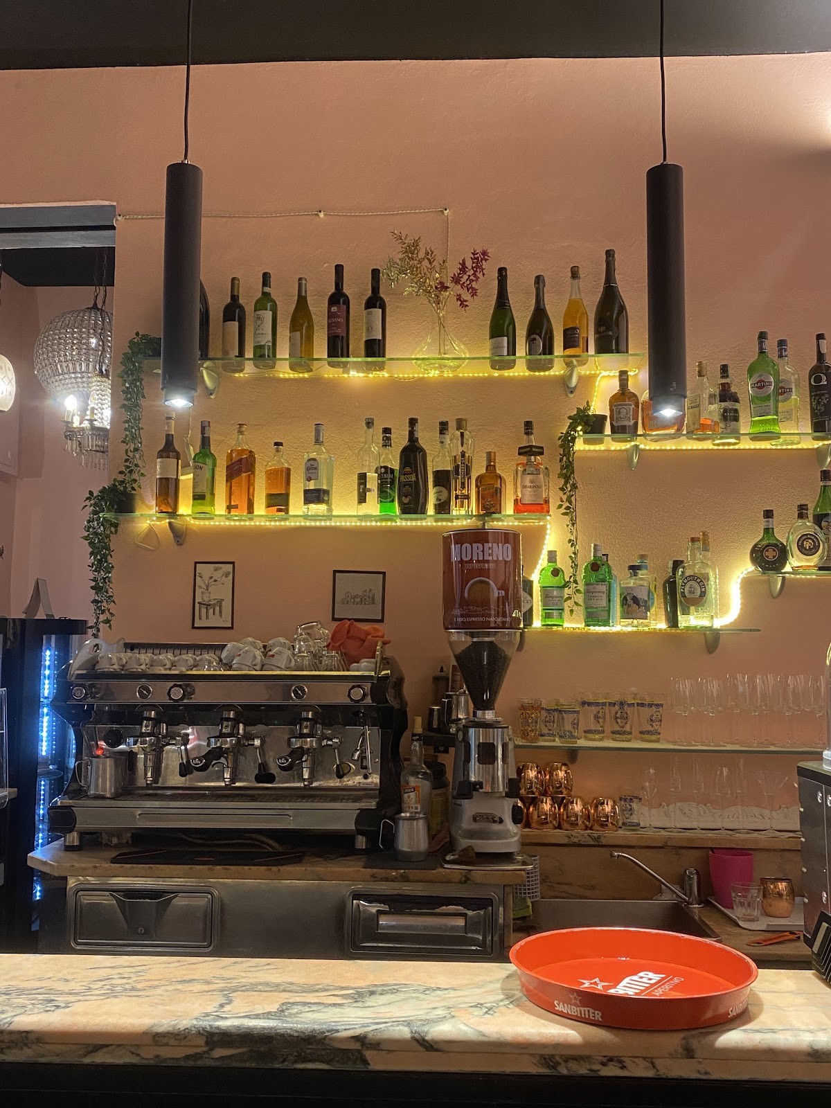 Zebù Veg Bar: the place