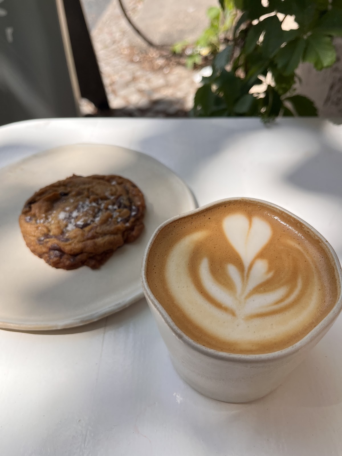 Ingwer: food & drinks