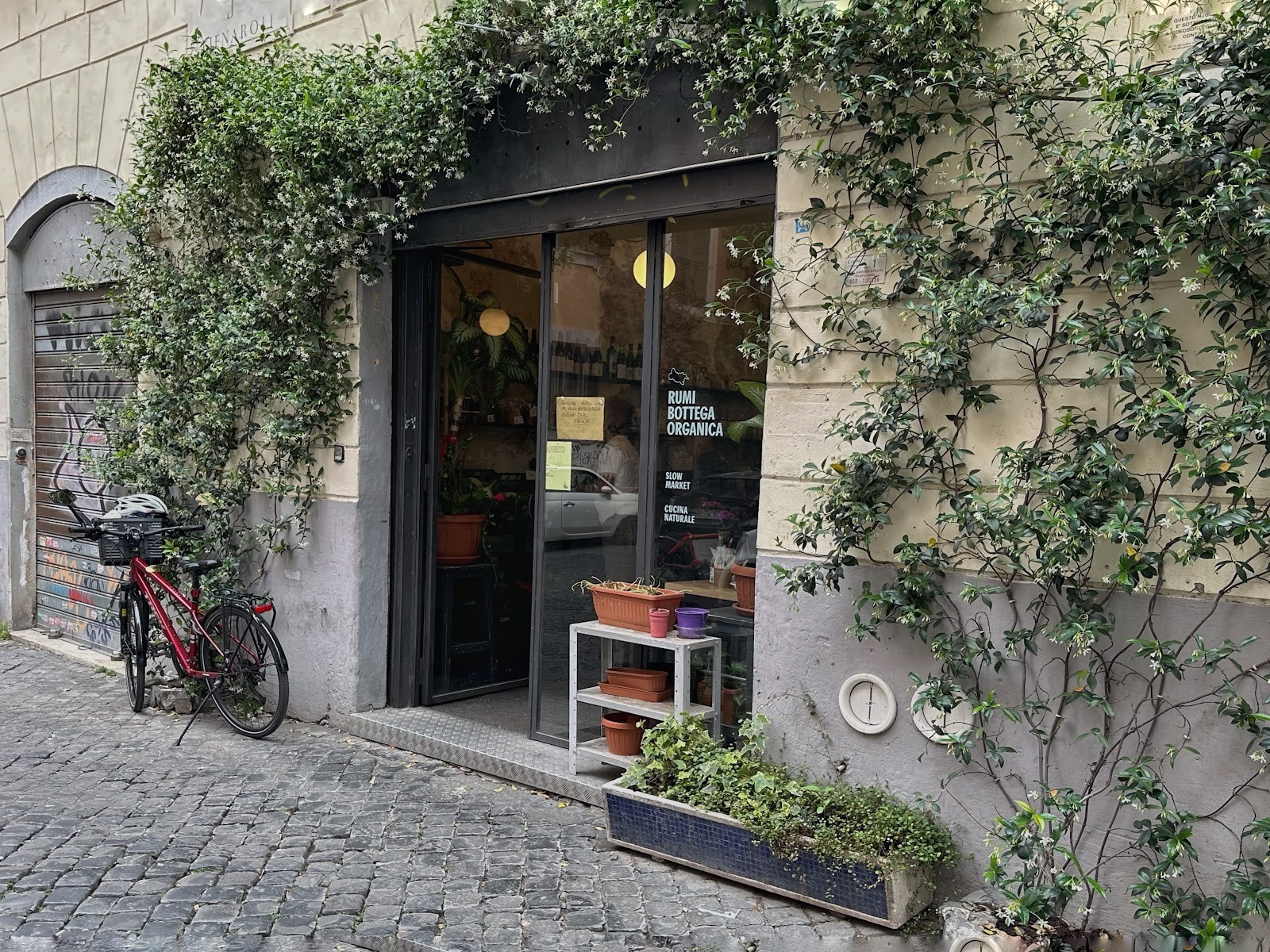 Rumi Bottega Organica: the place