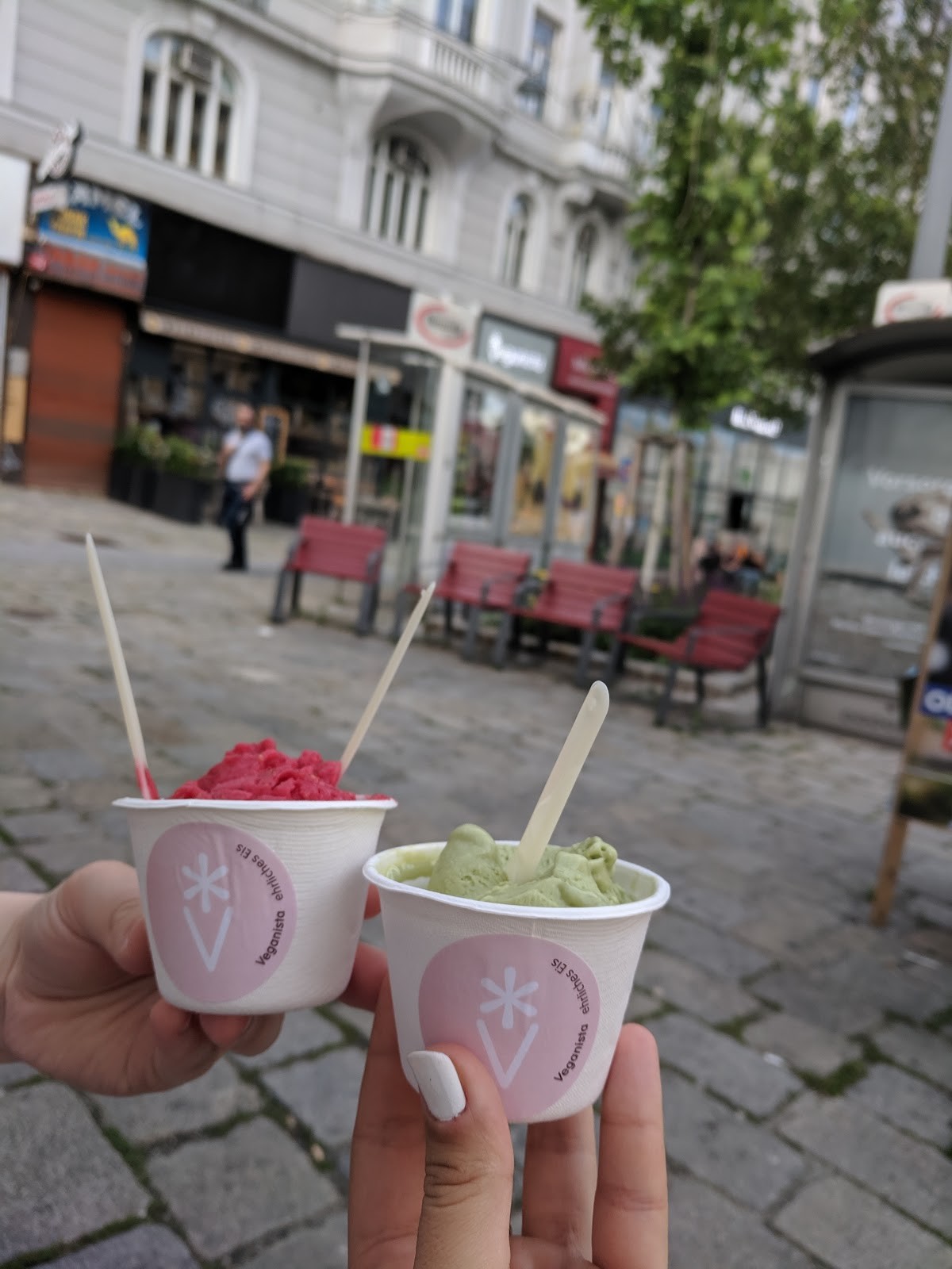 Veganista: food & drinks
