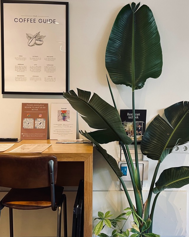 Buno Coffee Hoofddorpplein: photo 4