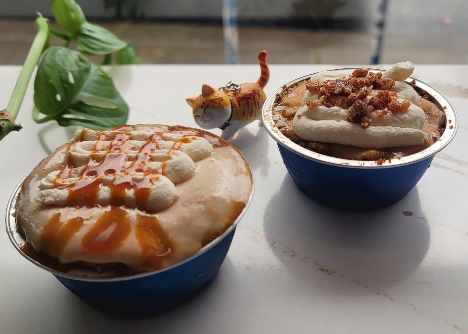 Gatto Gelato: food & drinks