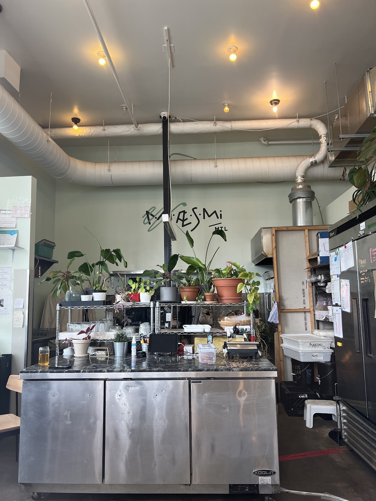 MAESMI: the place