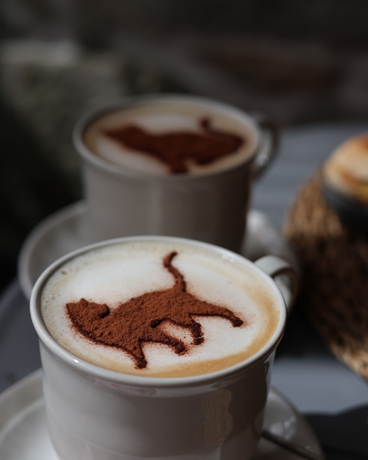 O Porto dos gatos: food & drinks