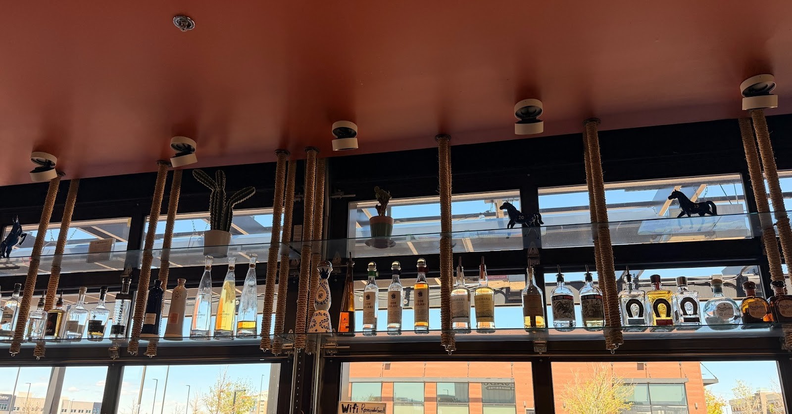 Renegado Tacos and Margaritas: the place