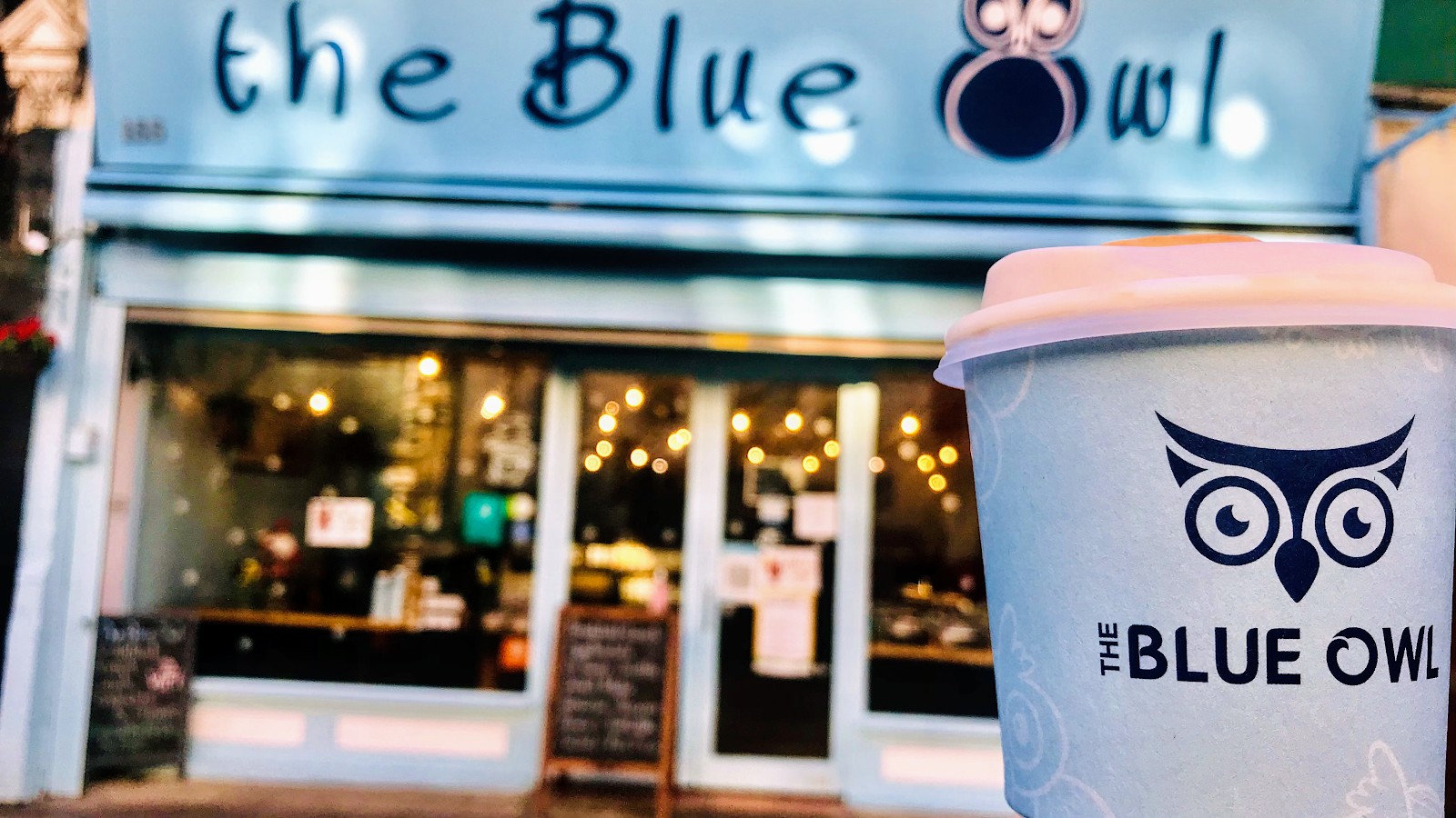 The Blue Owl: the place
