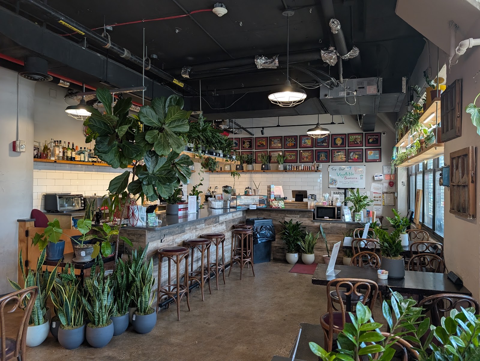 Mae Mae Café & Plant Shop: the place