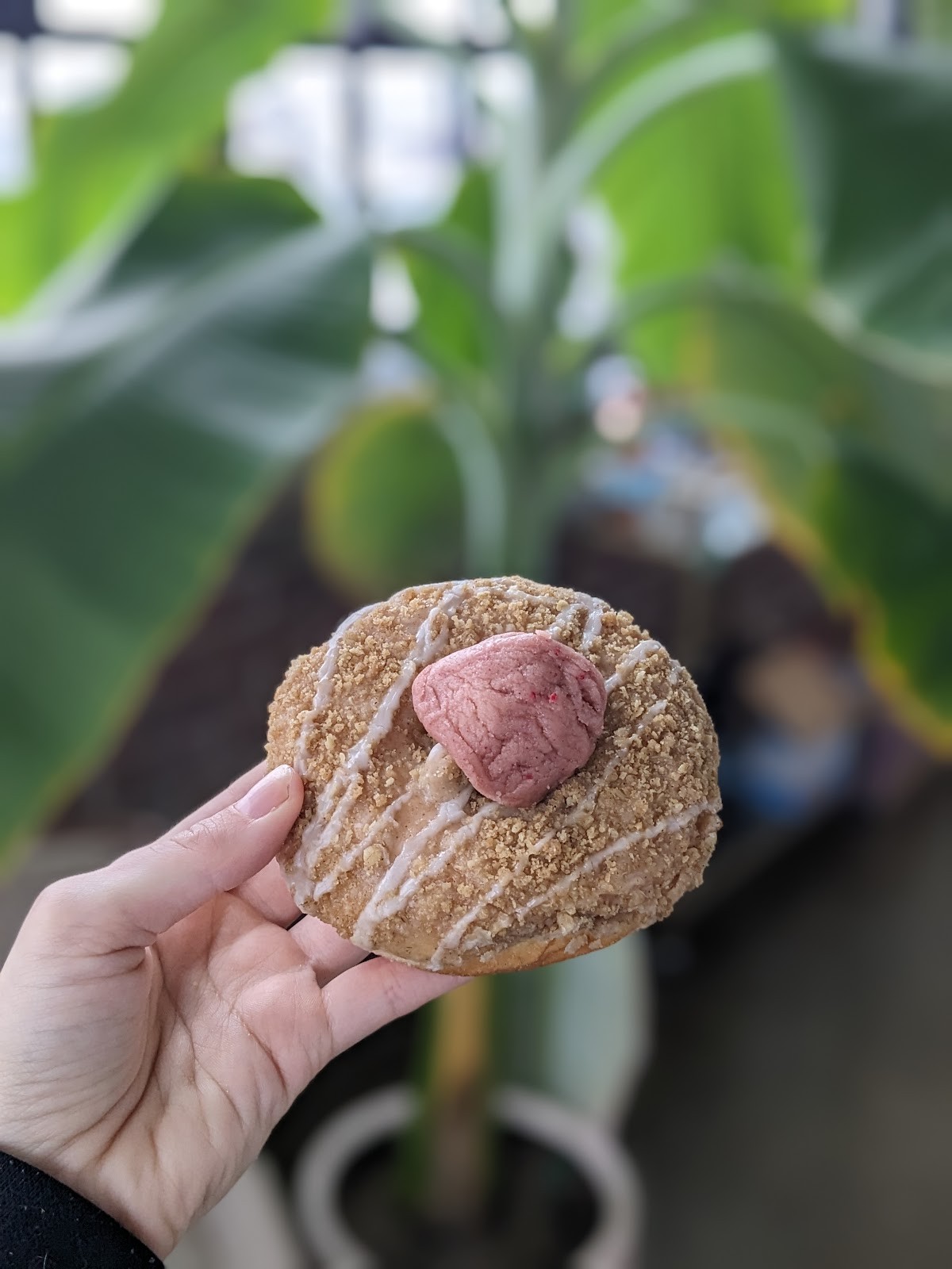 Dottie’s Donuts: food & drinks