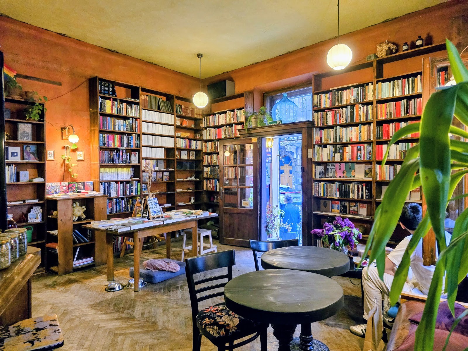 Massolit Books & Café: the place