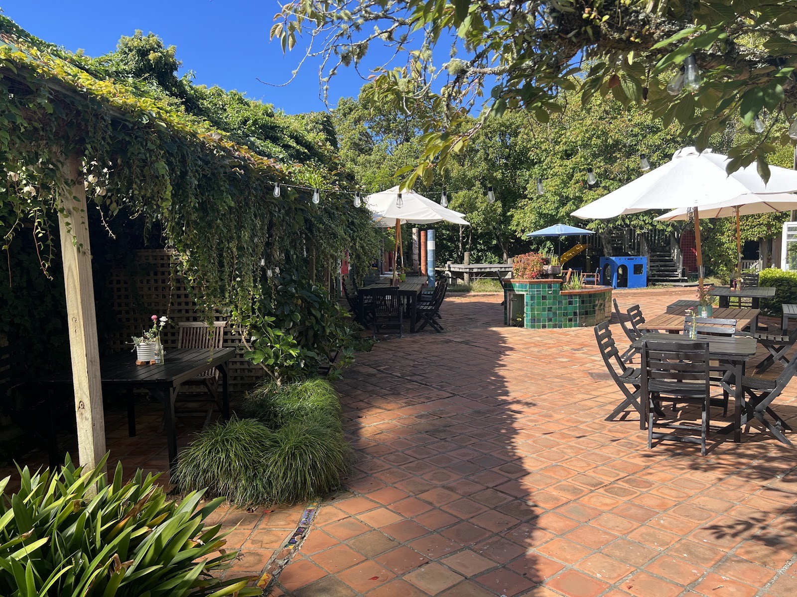 Cafe Nectar: the place