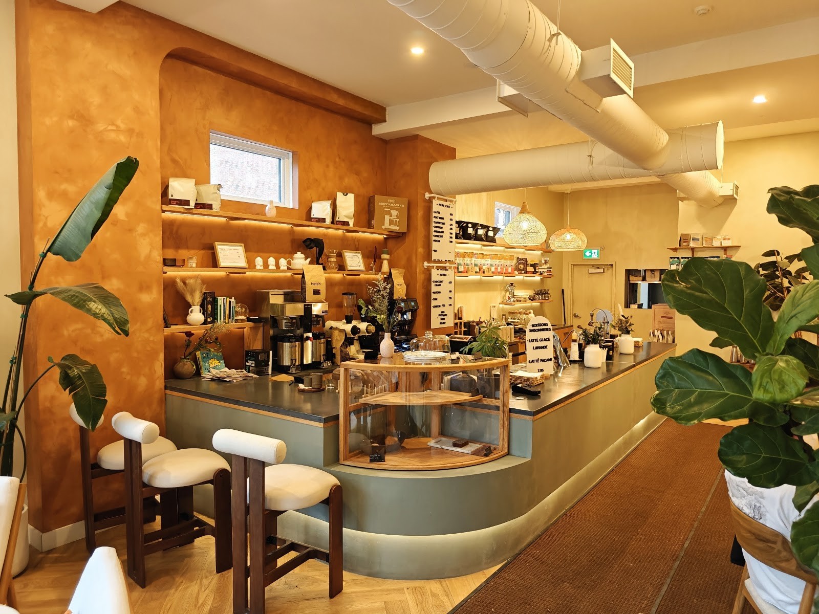 FluffysMTL: the place