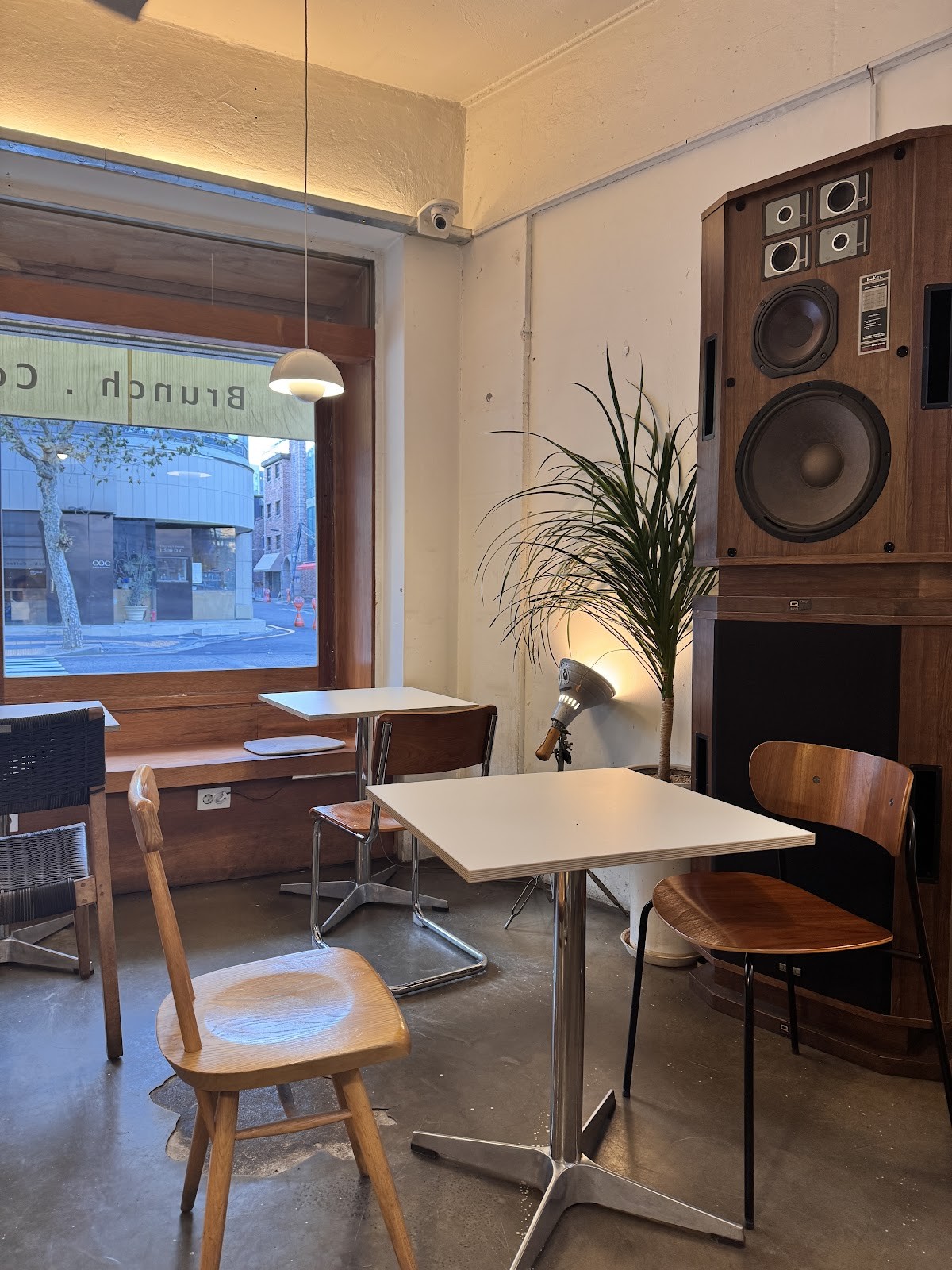 Analog Garden: the place