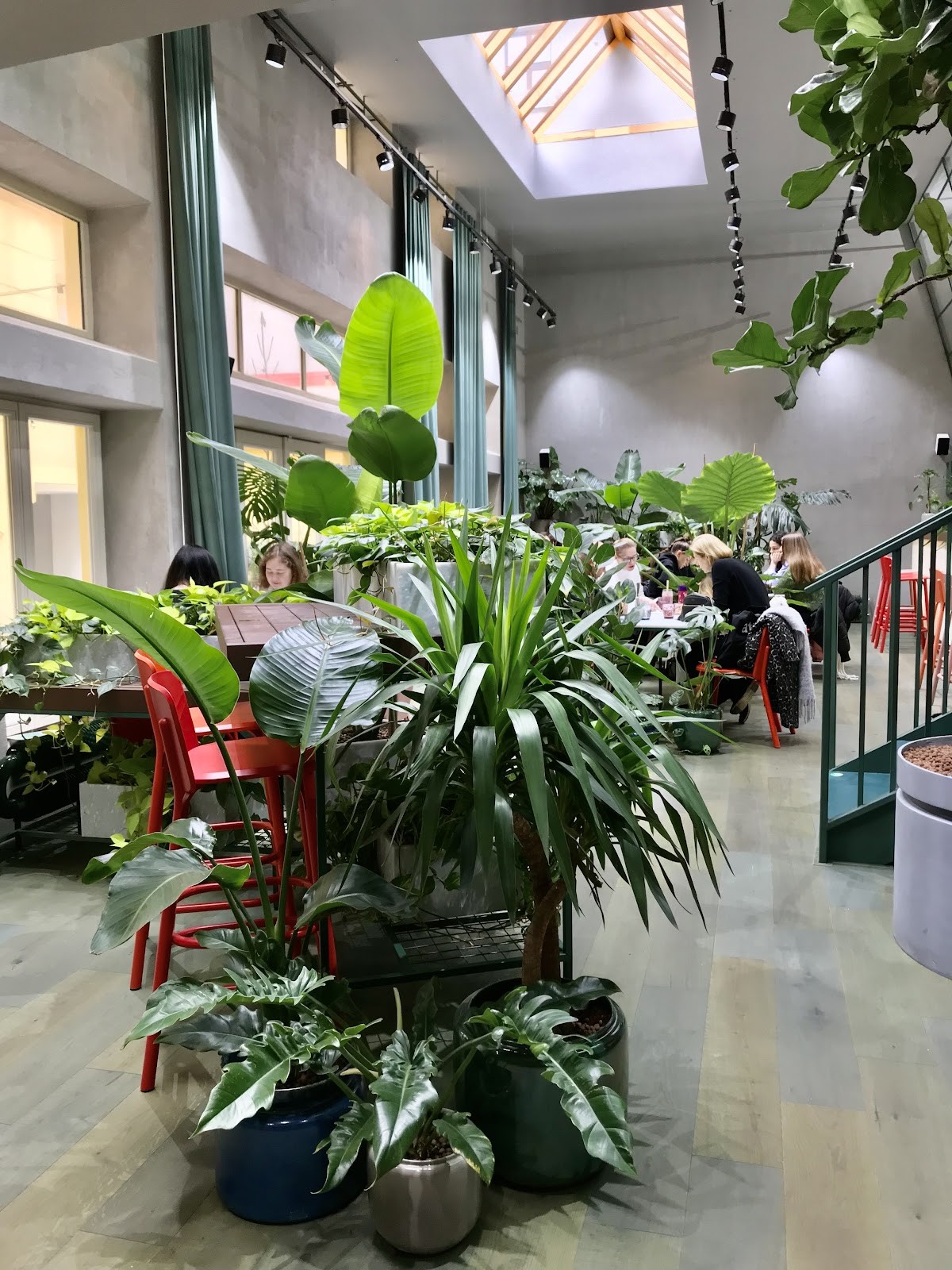 Healthy Longevity Café – Restaurant: the place