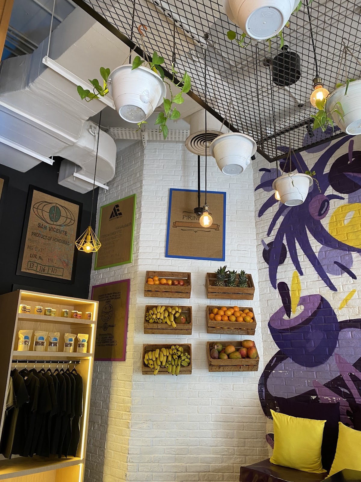 Projeto Acai SZR: the place