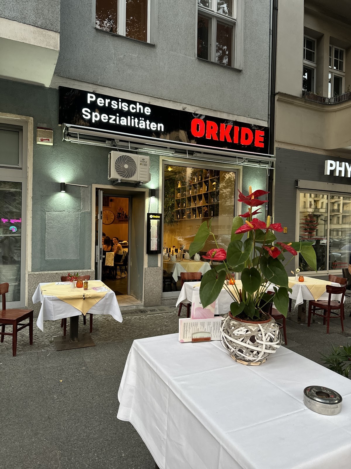 Orkide: the place