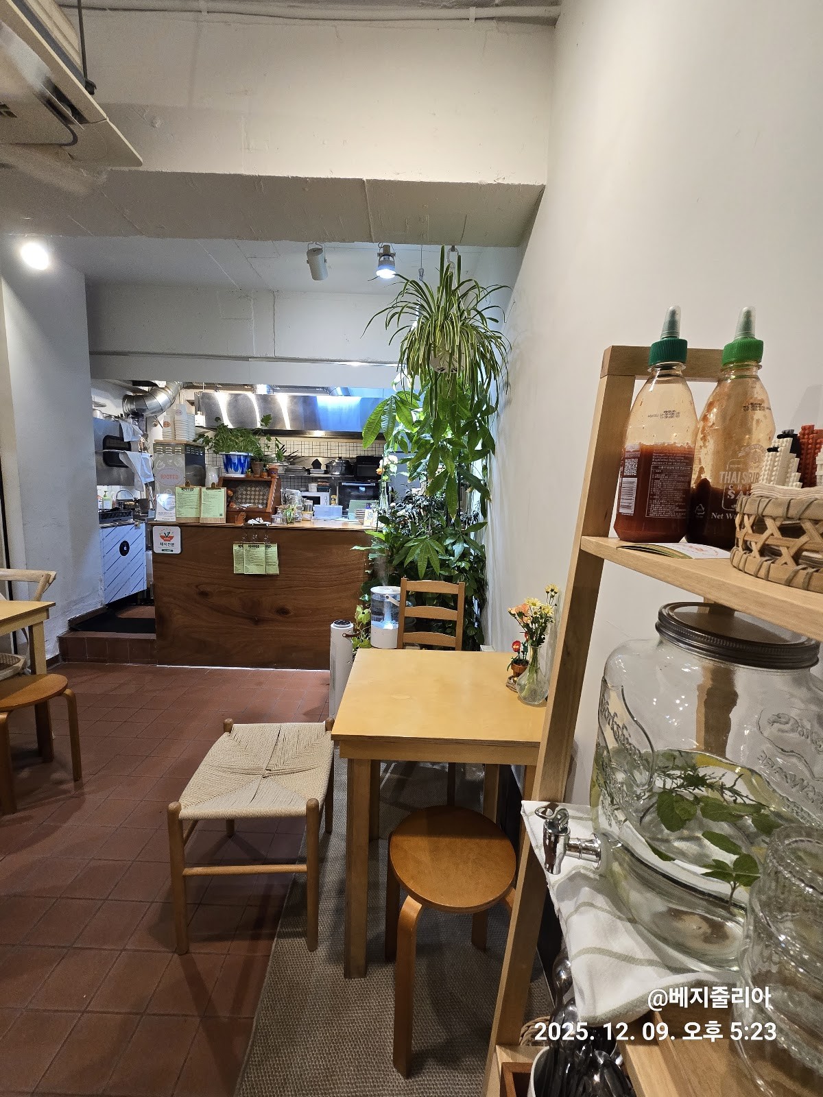 Rooted Seoul: the place