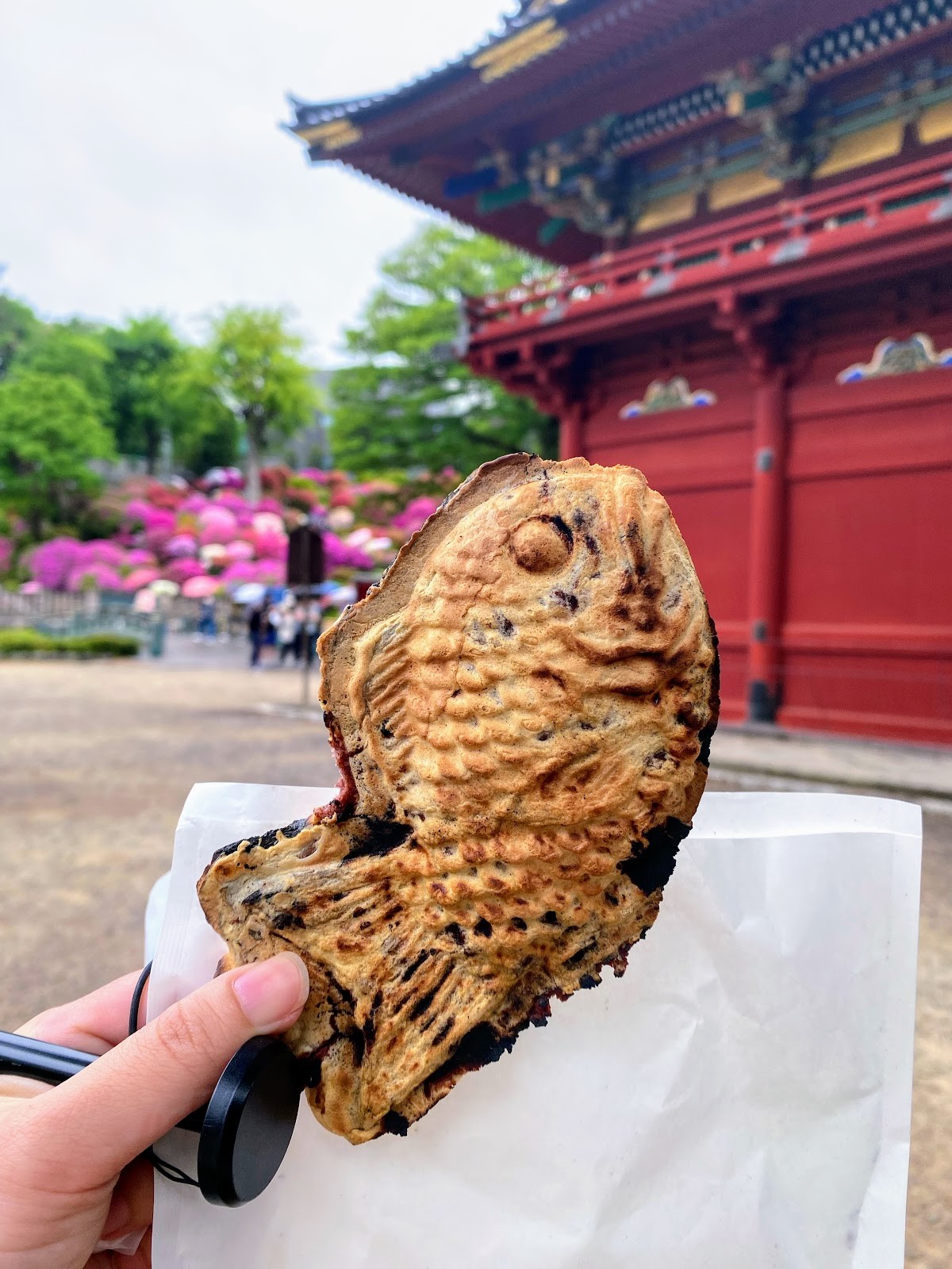 Nezu Taiyaki: food & drinks