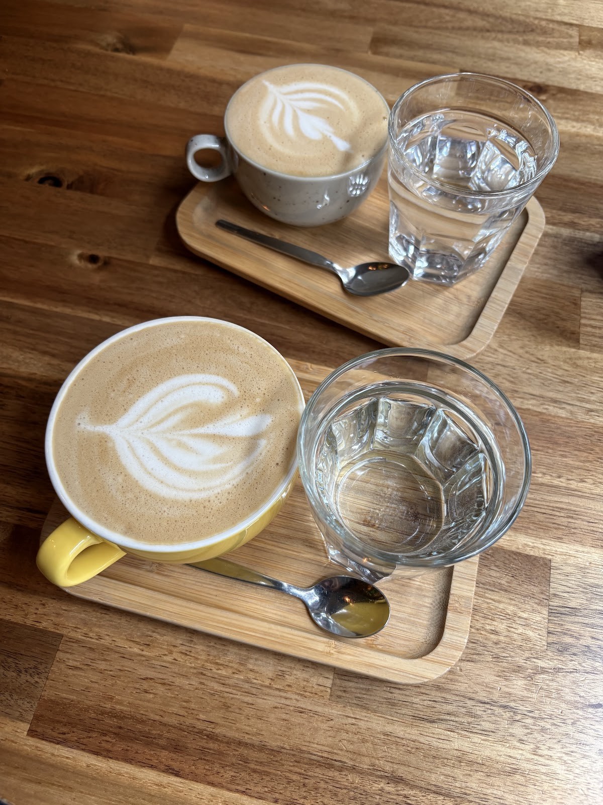 Palo Verde Bistro: food & drinks