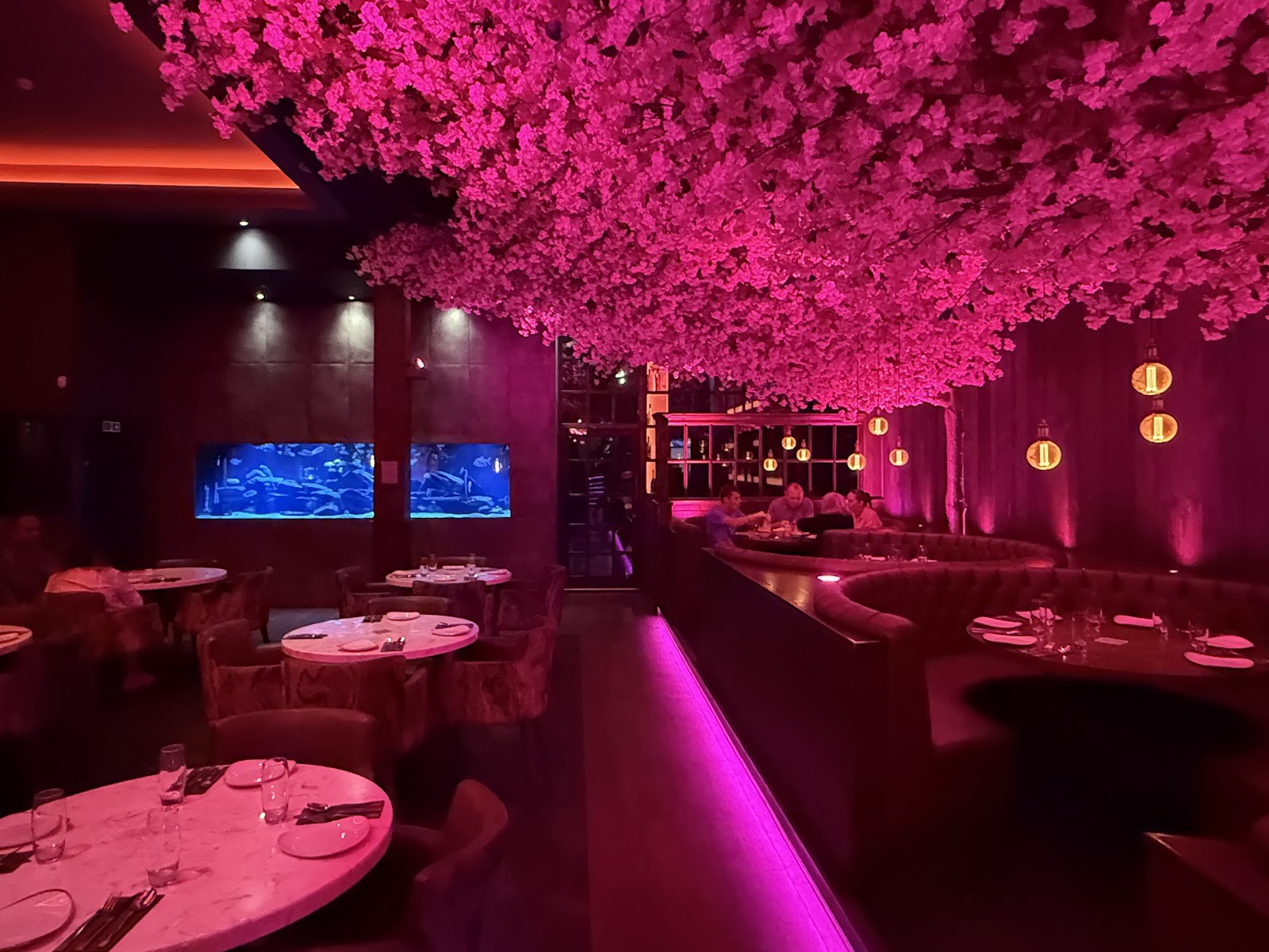 Akshaya - The Picture Drome: the place