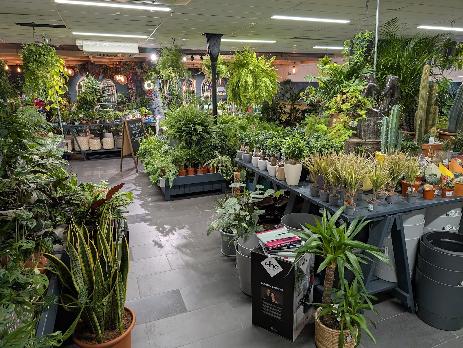 Arboretum Urban Green: the place