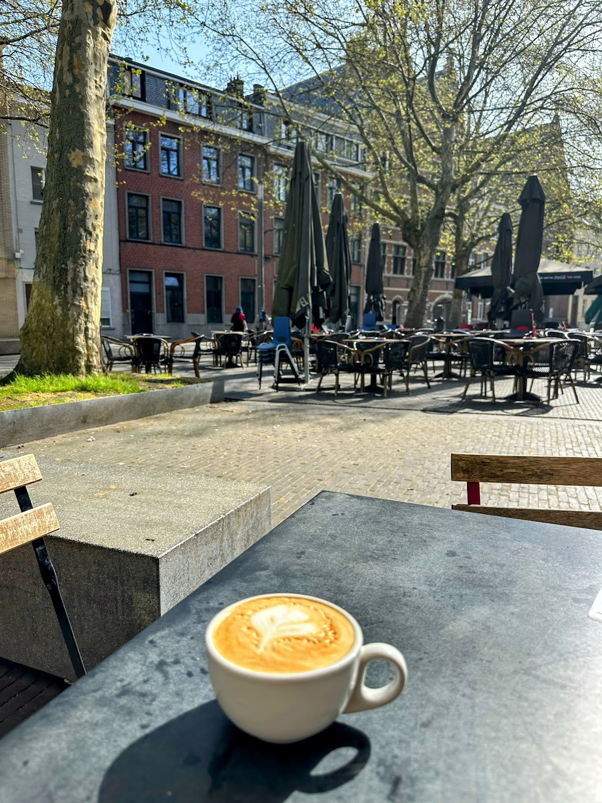 Tartoer Ossenmarkt: the place