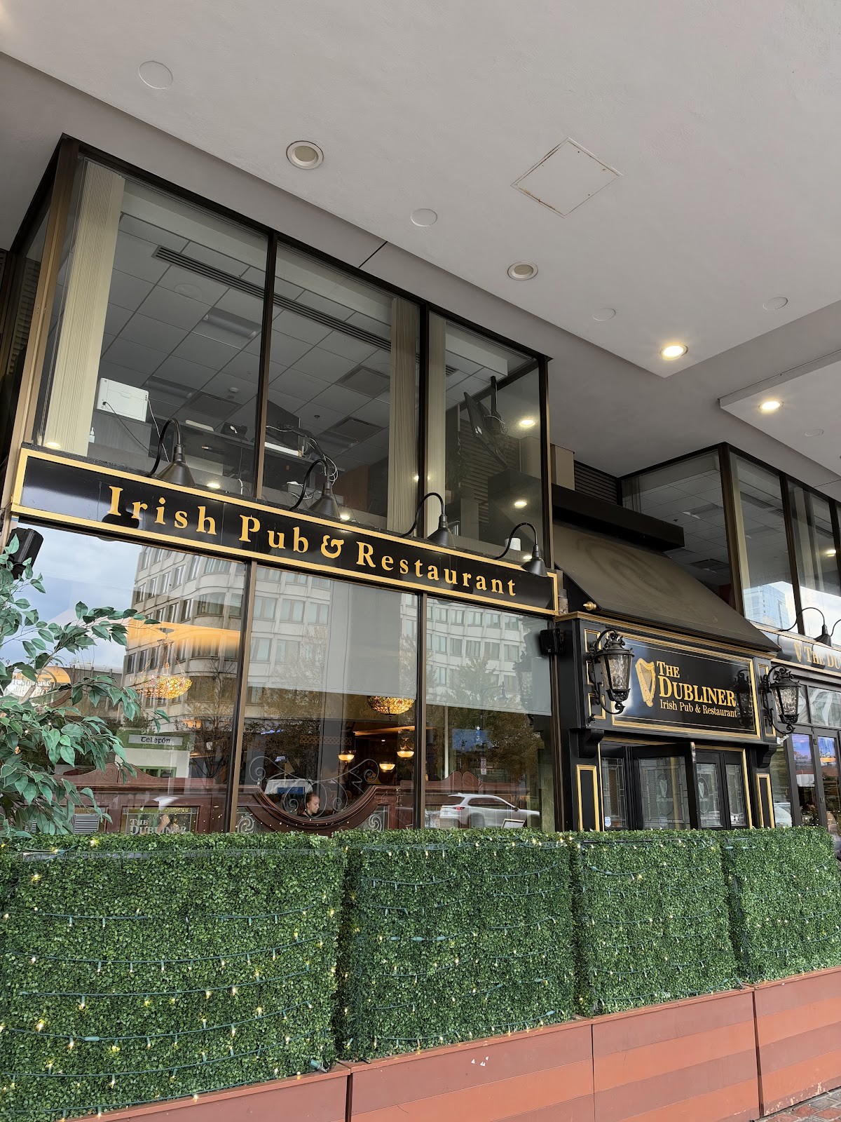 The Dubliner Irish Pub: the place