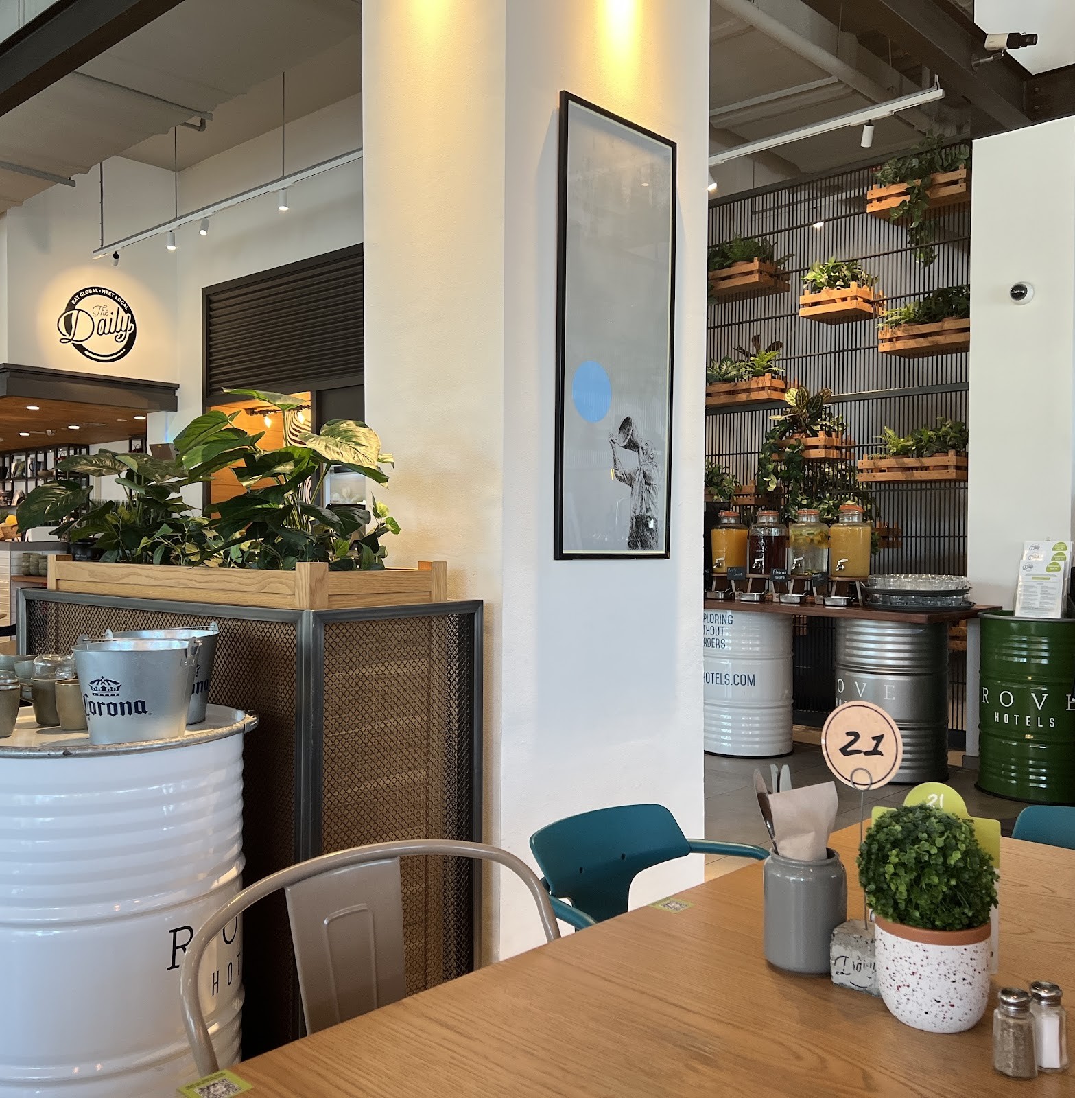 The Daily - Rove City Walk: the place