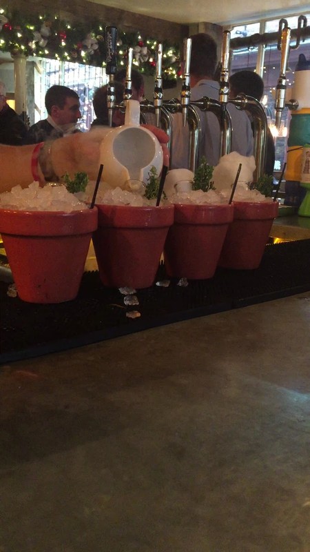 The Botanist York: photo 4