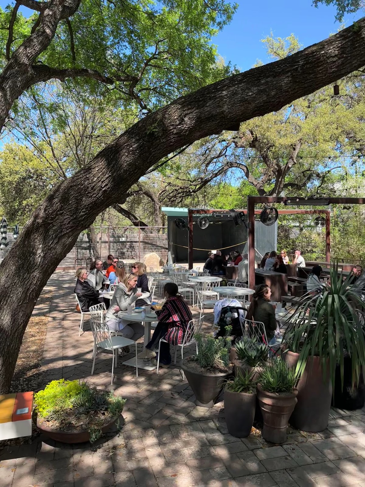 Fresa's - South First: the place