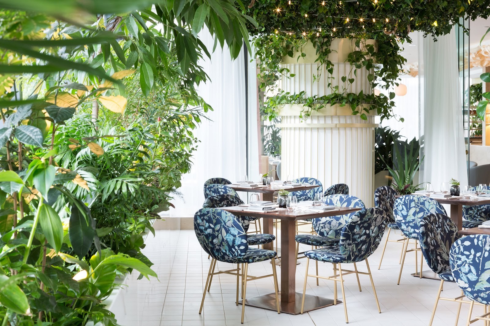 Botanist: the place
