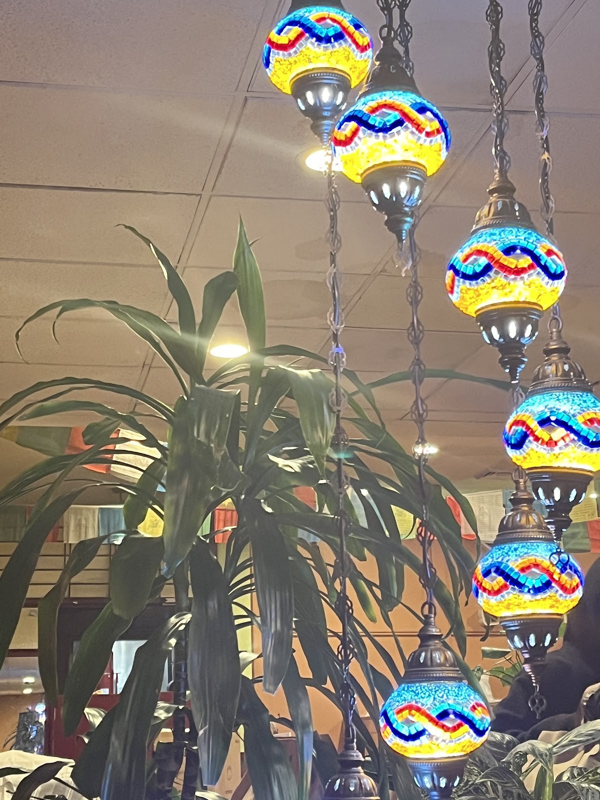 Rose Indian Cuisine: the place
