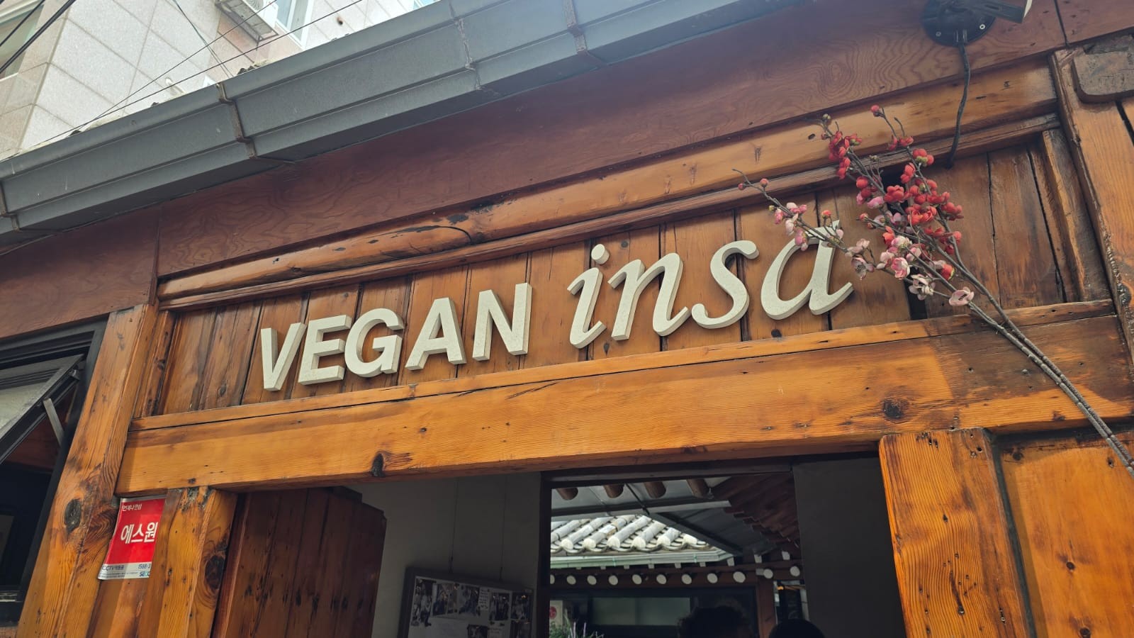 Vegan Insa: the place