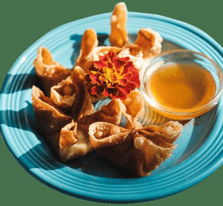 Norah Alberta: food & drinks
