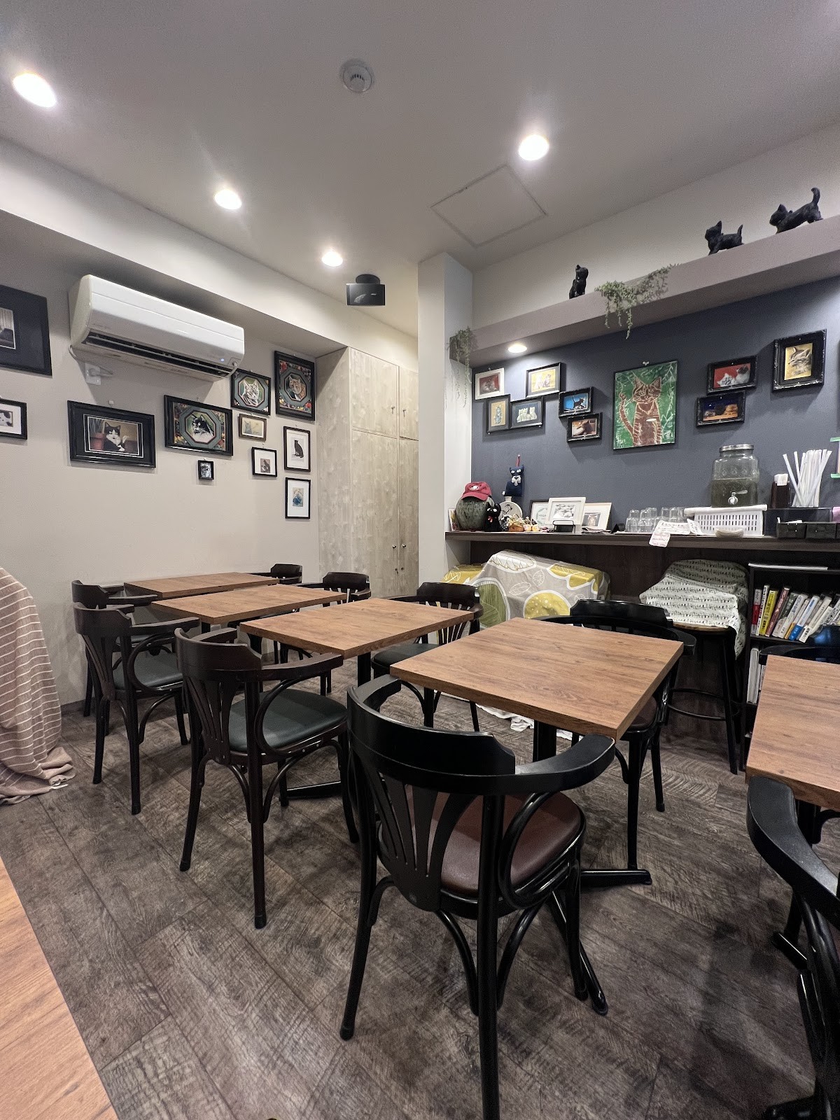 Gluten free Bakery Where is a dog?: the place