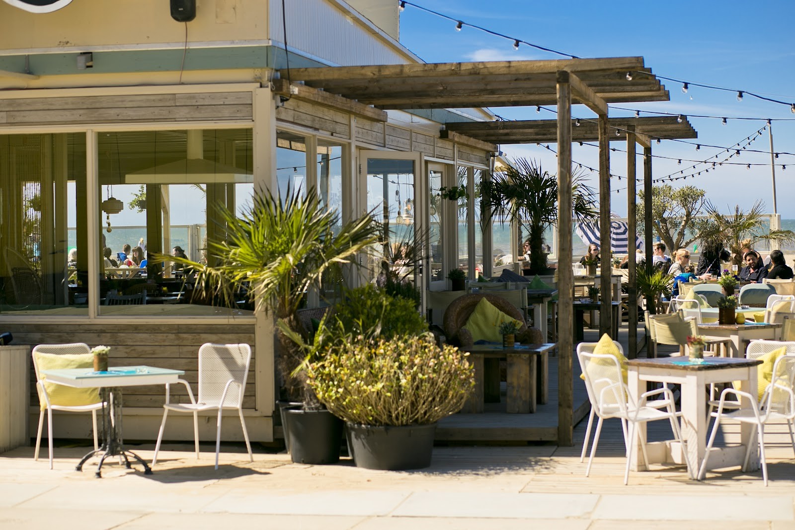 The Fat Mermaid: the place