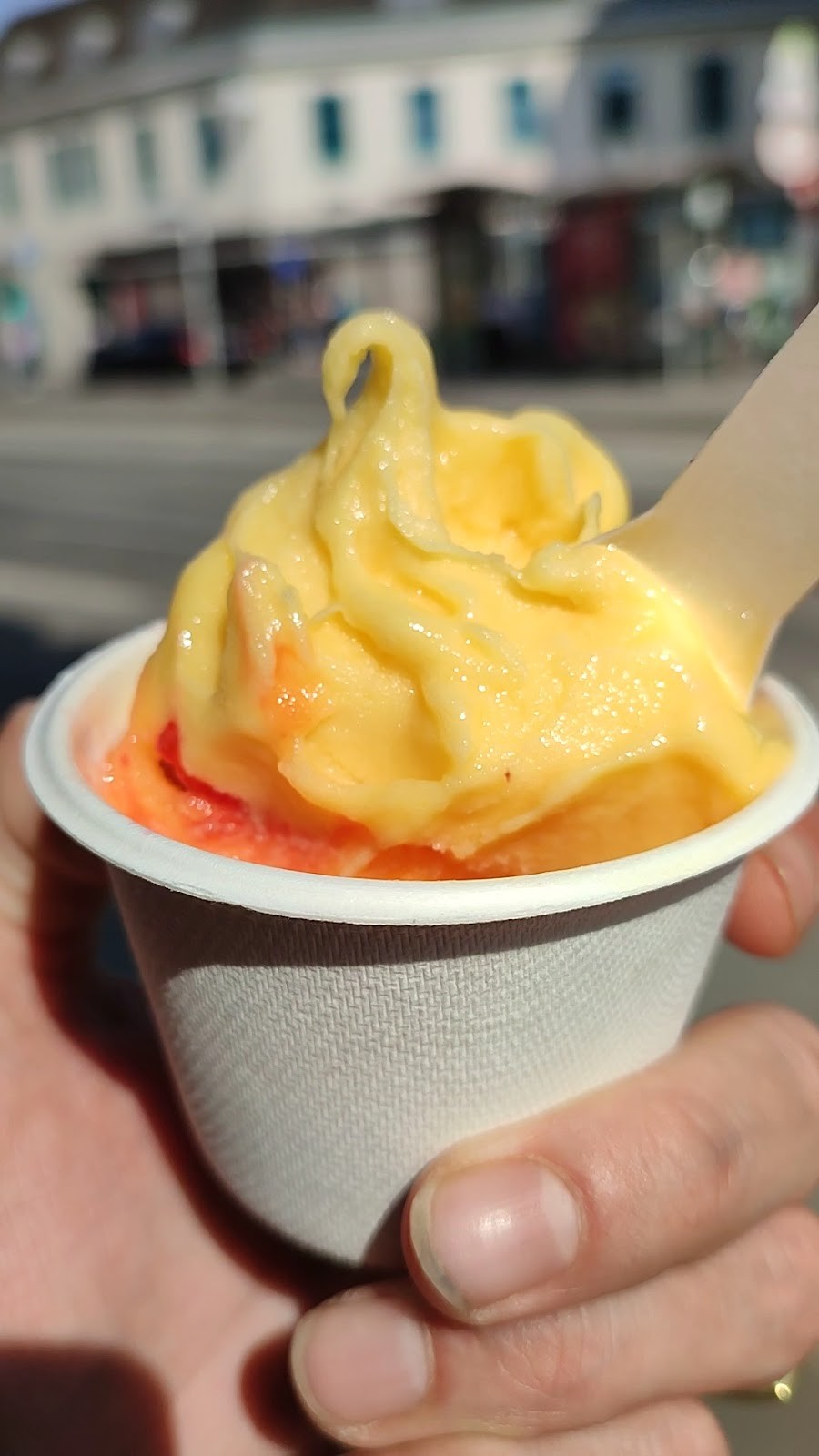 Veganista Ice Cream: food & drinks