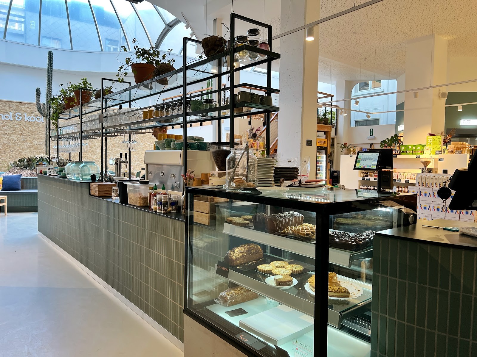 knol&kool🌱: the place