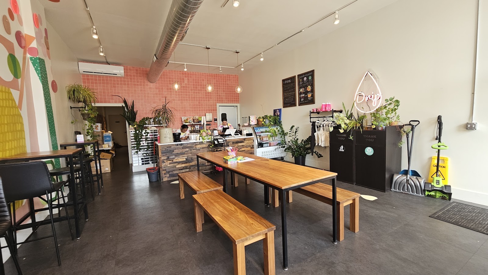 The Dripping Root: the place